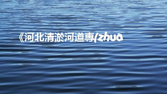 《河北清淤河道專(zhuān)家推薦：排名最好的清淤公司大揭秘！》